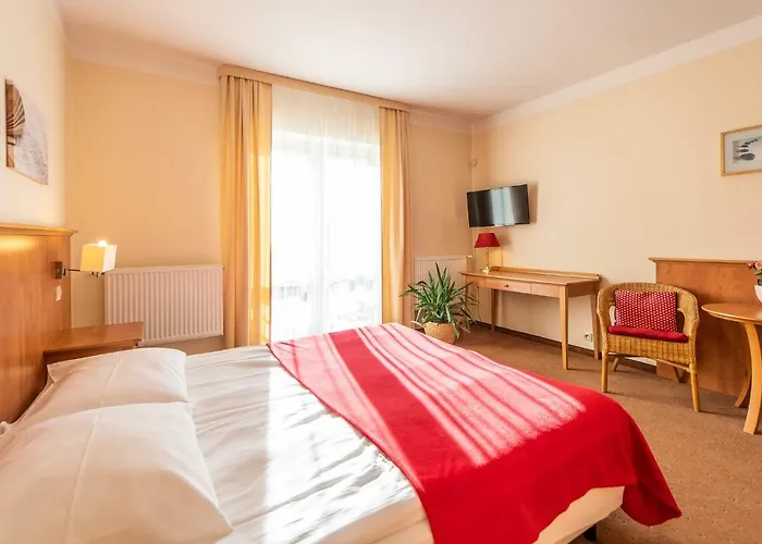 Bed and breakfast Zenit